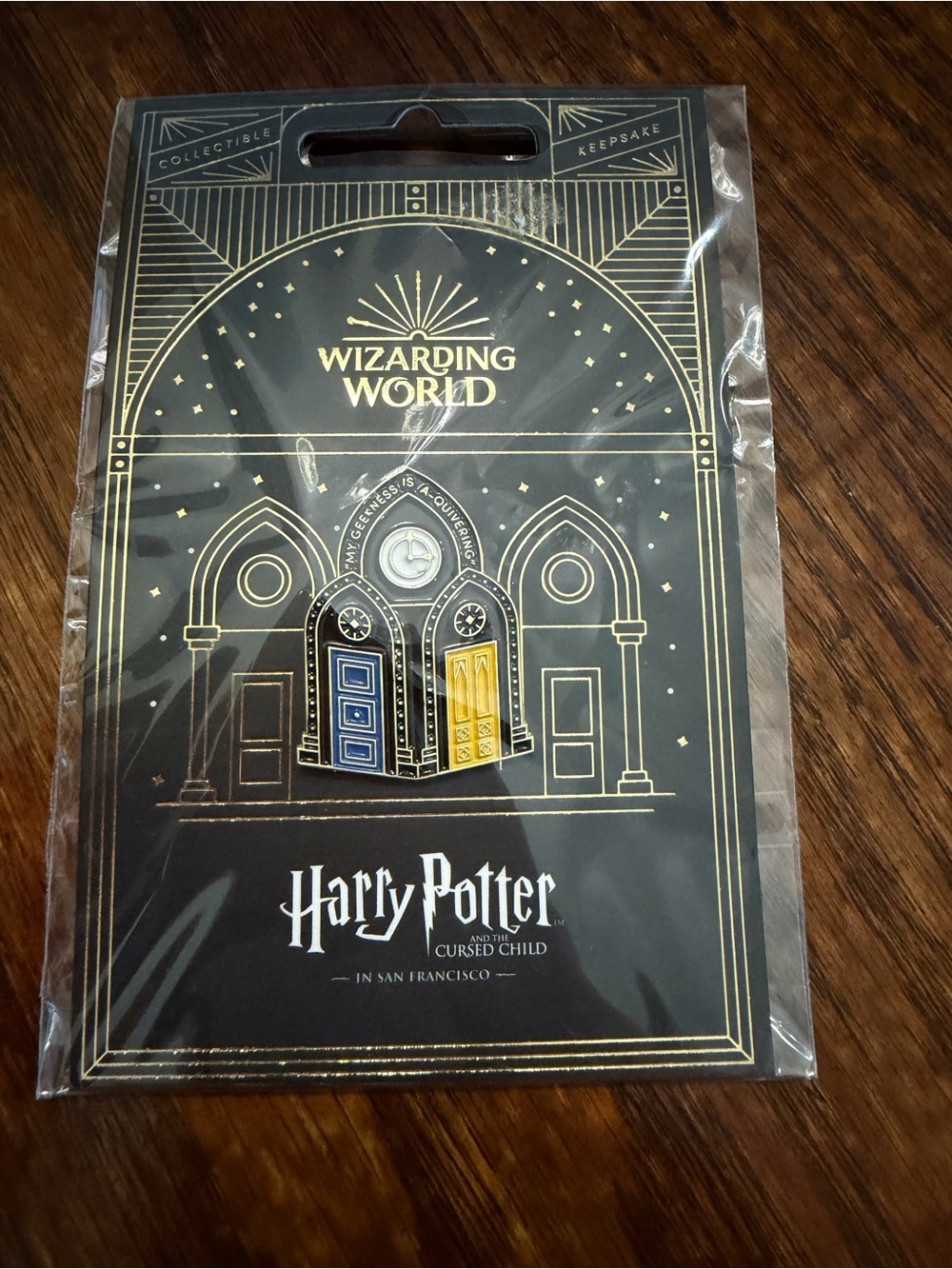 Harry Potter Wizarding World Enamel Pin - Blue & Gold Doors Limited Edition